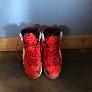 Lebron James Nike’s